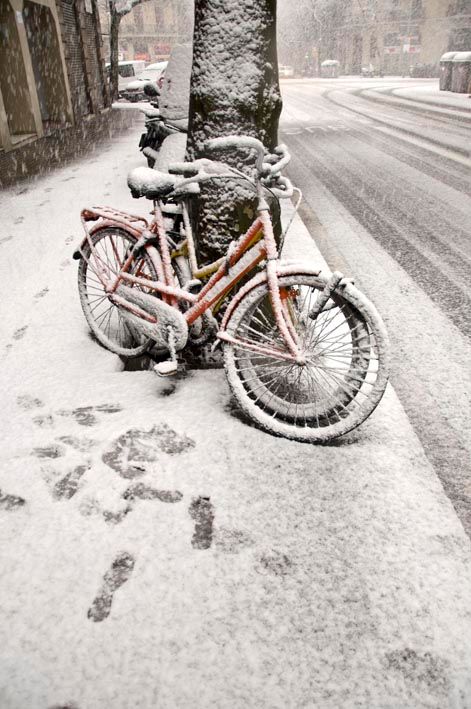 White BCN 5