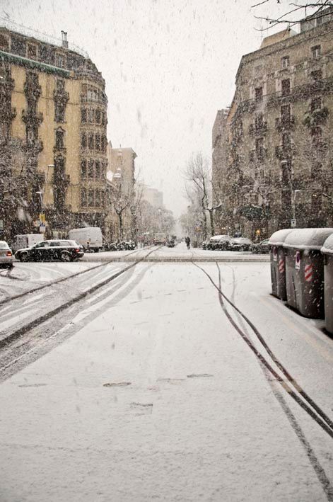 White BCN 4