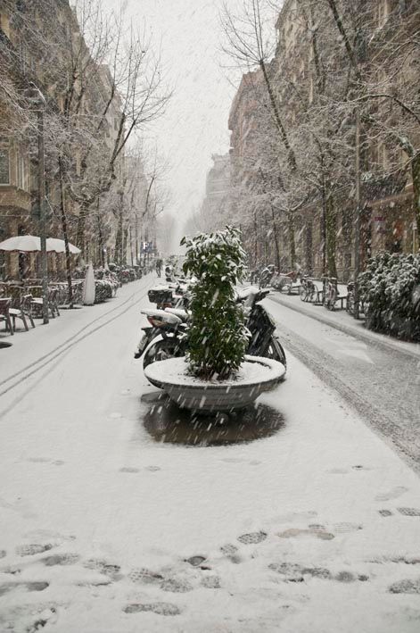 White BCN 3