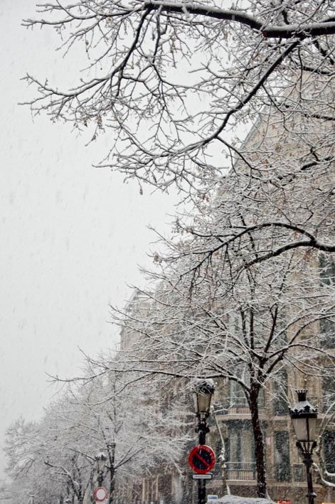 White BCN 2