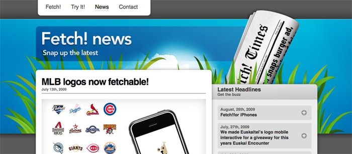 Fetch! Website 7