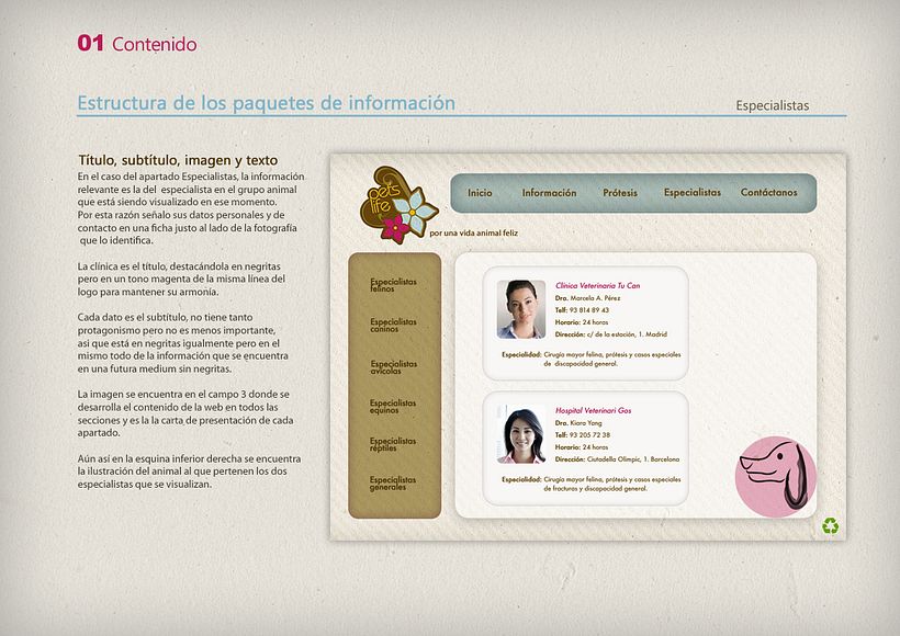 Proyecto final 2 - Manual explicativo 11