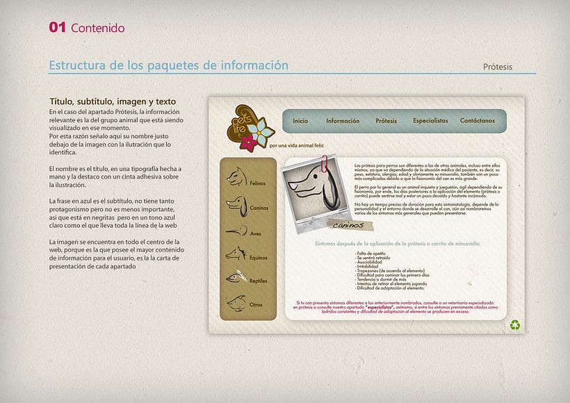 Proyecto final 2 - Manual explicativo 10