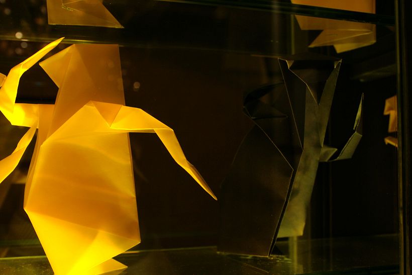 Fotografía 26