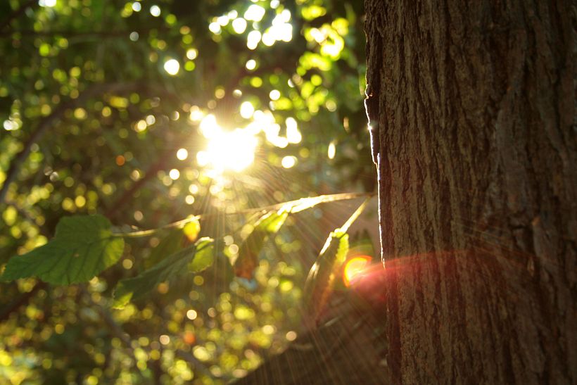 Fotografía 24