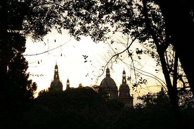 Fotografía 20