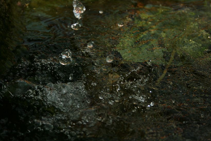 Fotografía 10