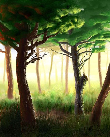 Color 12