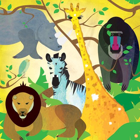 animals 4
