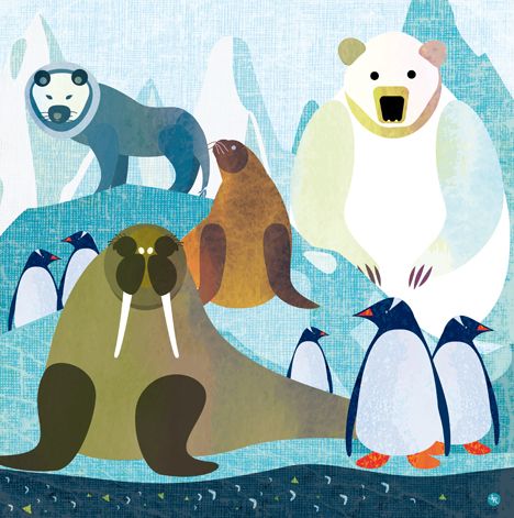 animals 3