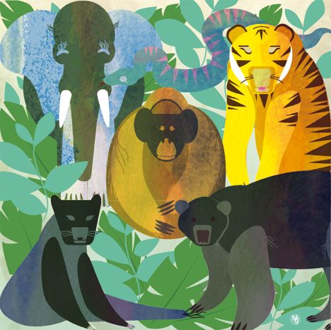 animals 2