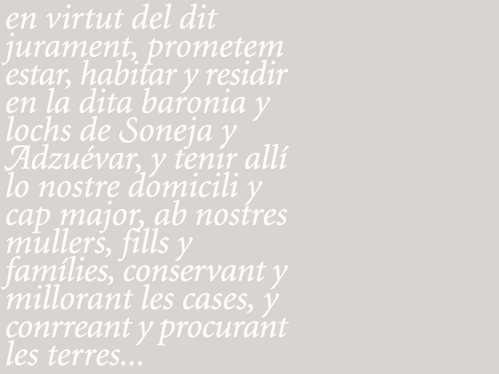 Soneja 2009 4