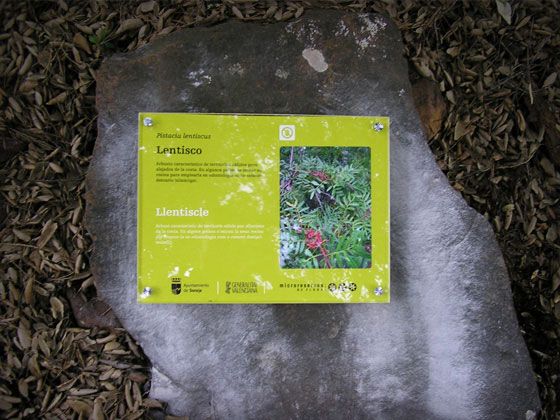 La Dehesa 9