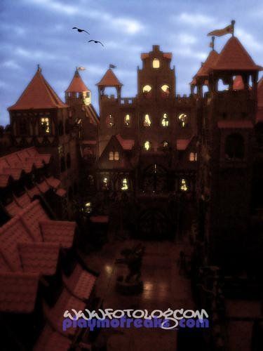 Playmobil 30