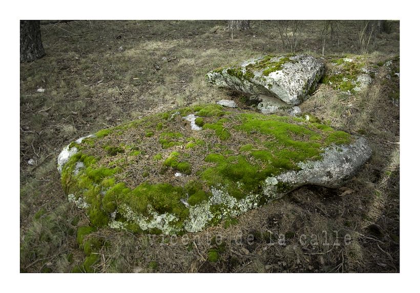 Emotional landscapes 47