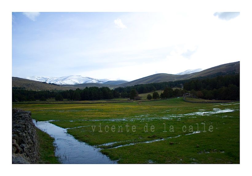 Emotional landscapes 48