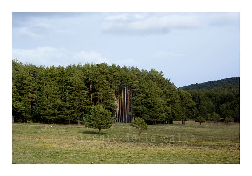 Emotional landscapes 50