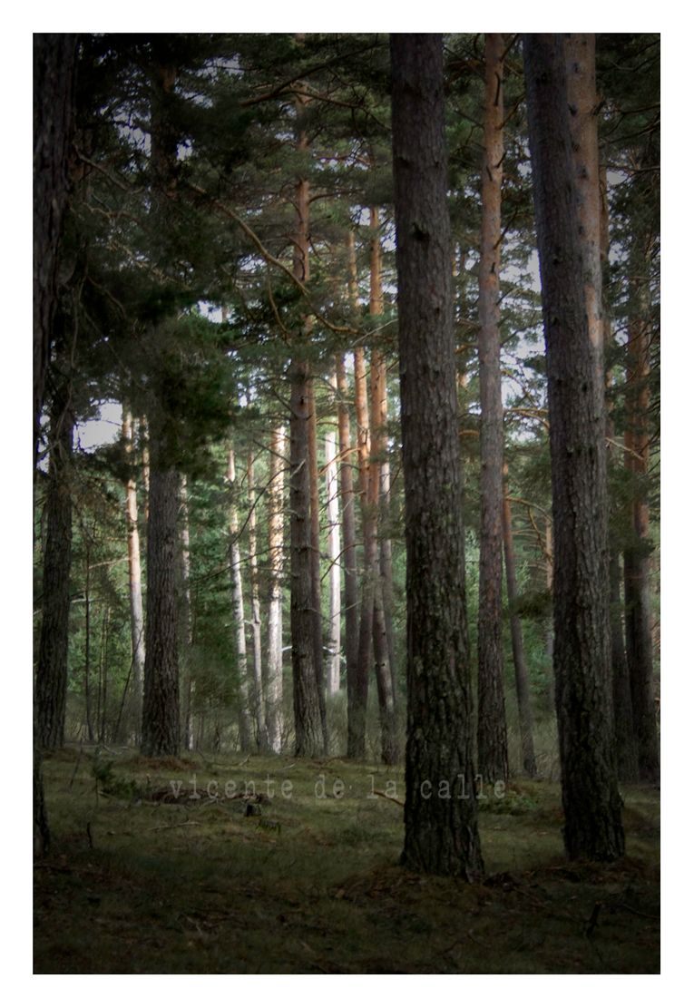 Emotional landscapes 51