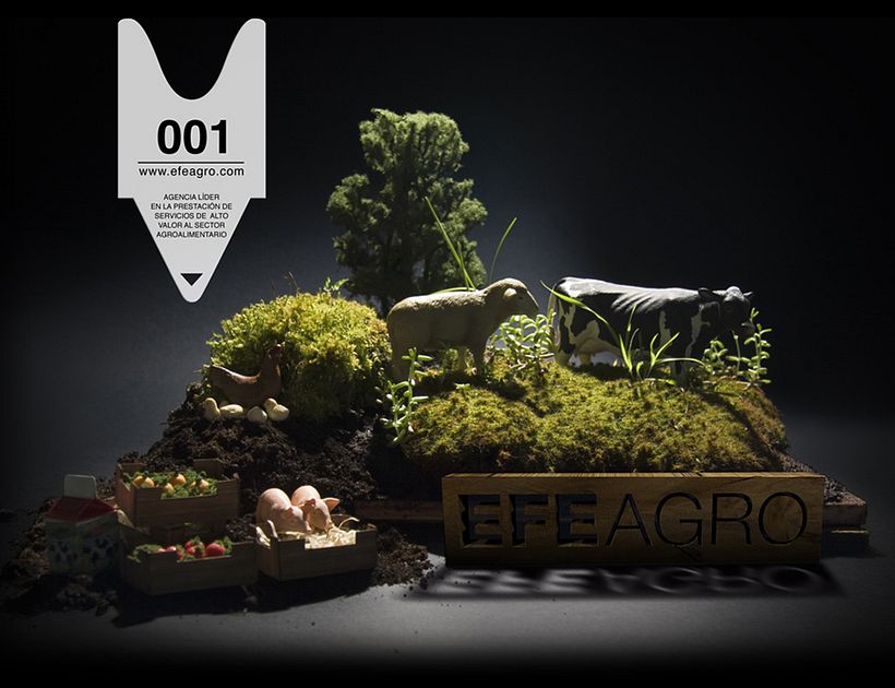 Web EFEAGRO 1