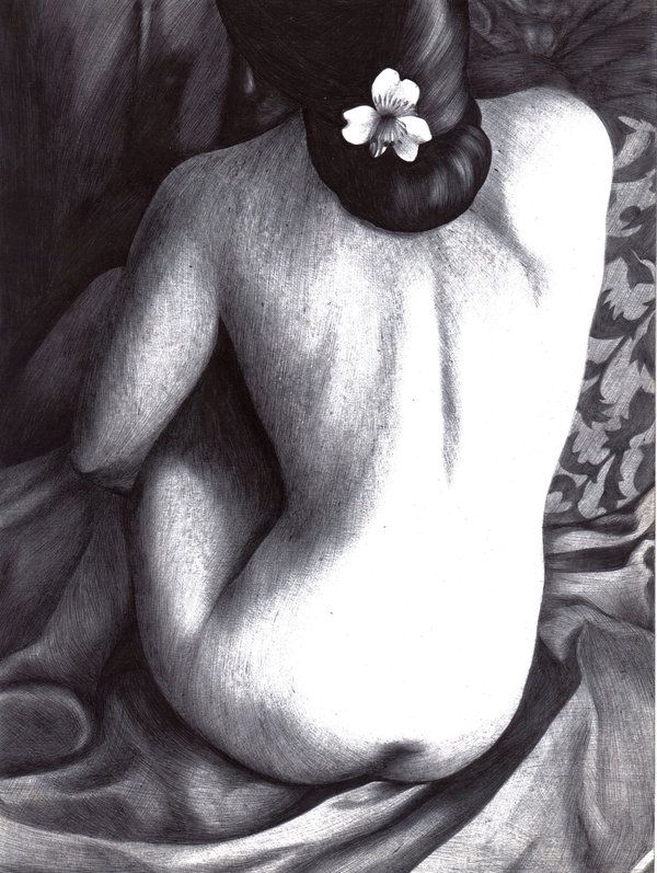 Piel  3