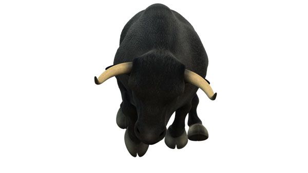 Toro Intereconomía 5