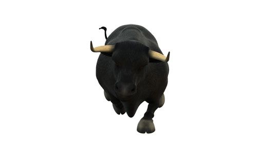 Toro Intereconomía 4