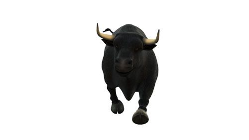 Toro Intereconomía 3