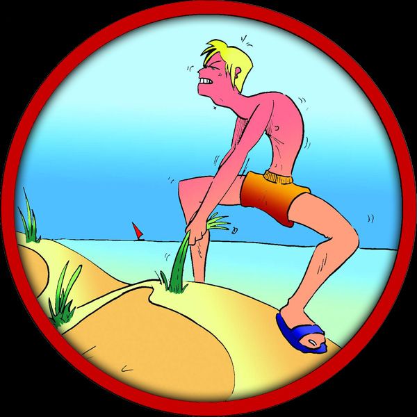 Salvaguardia delle Spiagge 3