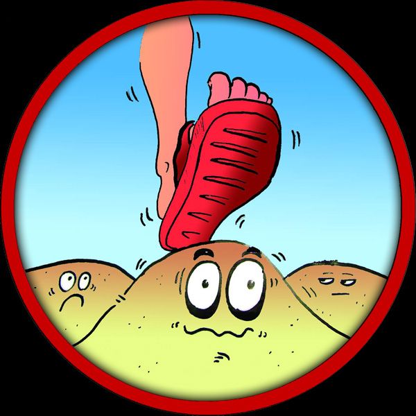 Salvaguardia delle Spiagge 2