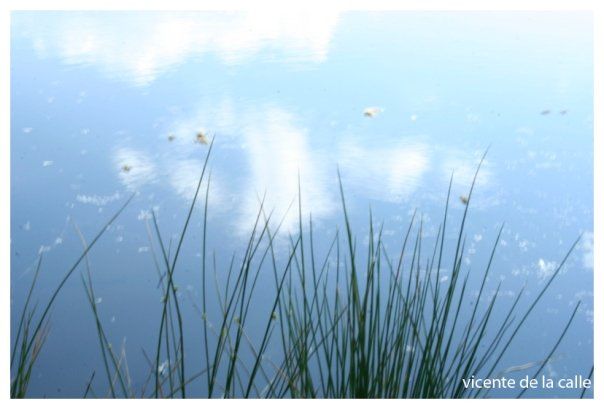 Emotional landscapes 43