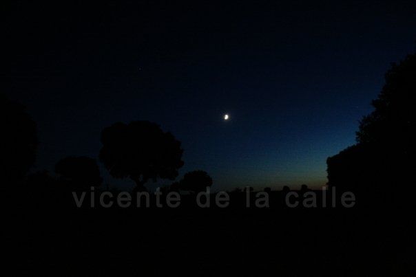 Emotional landscapes 41