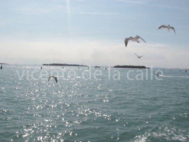 Emotional landscapes 33