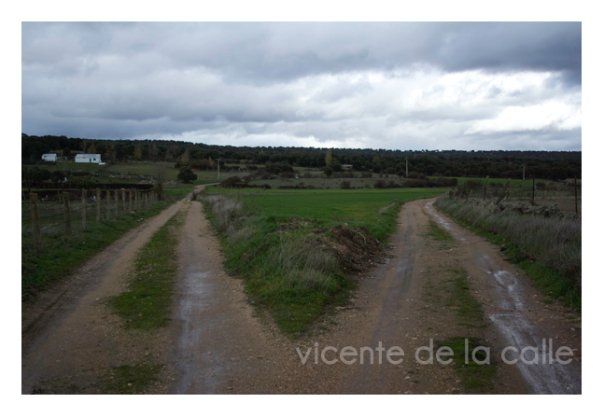 Emotional landscapes 24