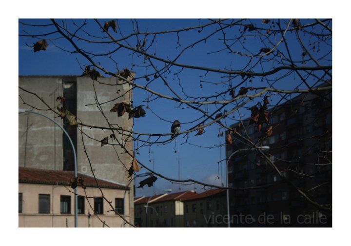 Emotional landscapes 21
