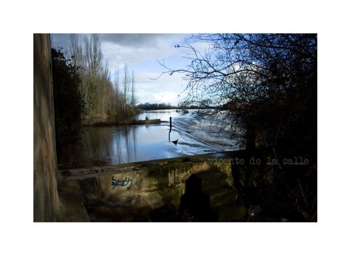 Emotional landscapes 20
