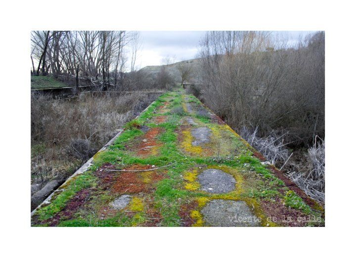 Emotional landscapes 17