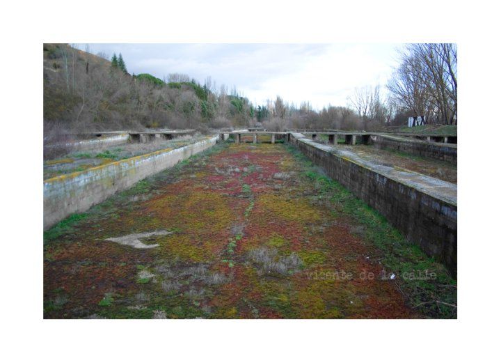 Emotional landscapes 16