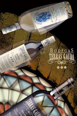 carteles 5