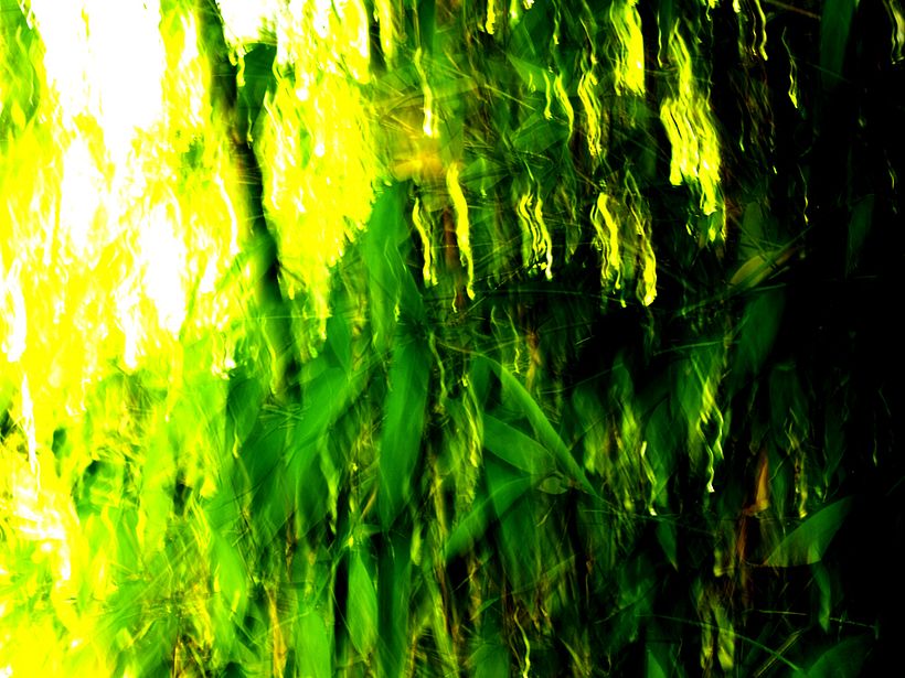 natural_electric 3