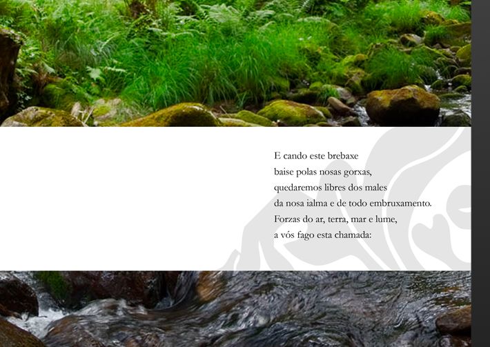 Aguardientes de Galicia 6