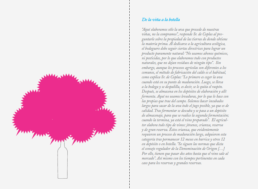 Folleto bodega 5