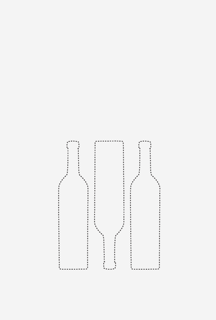 Folleto bodega 15