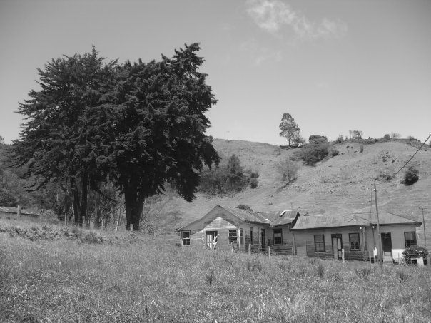 Fotografías 5