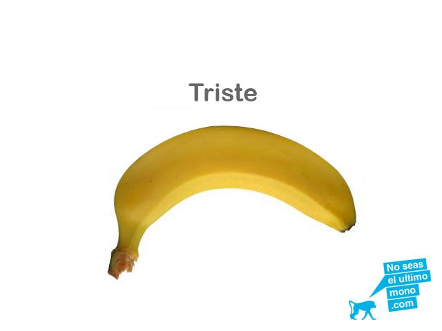 noseaselultimomono.com 3