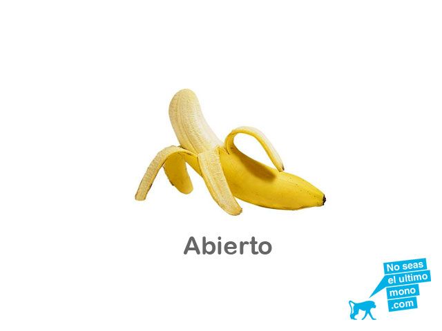 noseaselultimomono.com 2