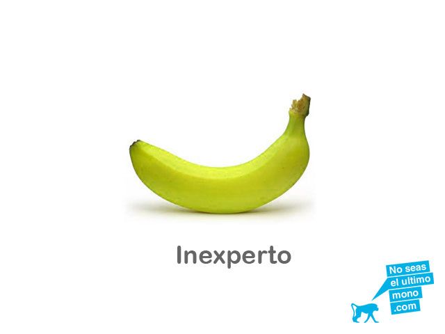 noseaselultimomono.com 1