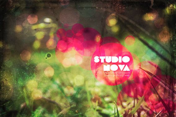 Studio Nova 1