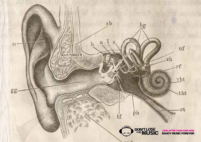 Don't Lose the Music 3