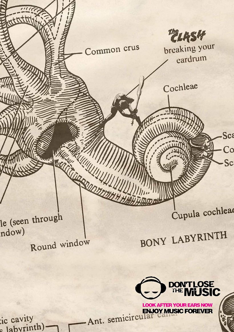 Don't Lose the Music 1