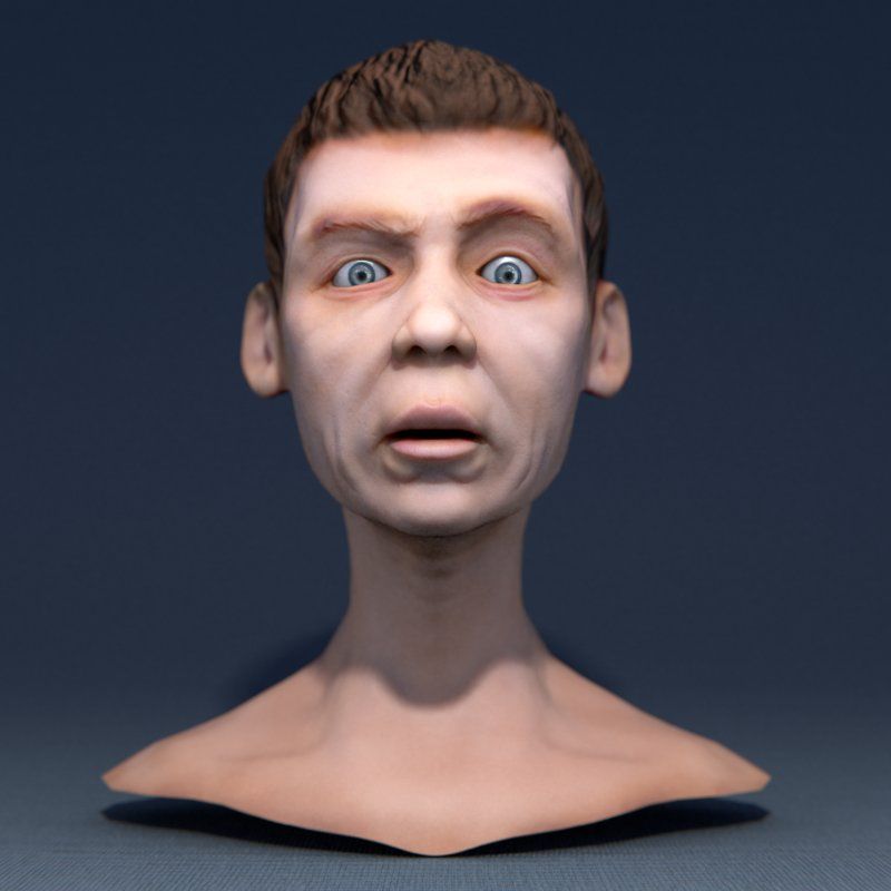 Aprendiendo anatomía 1